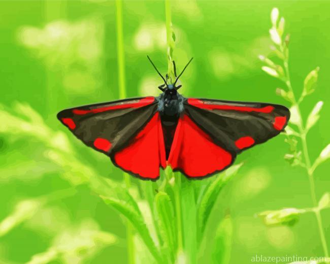 Aesthetic Cinnabar Moth Paint By Numbers.jpg