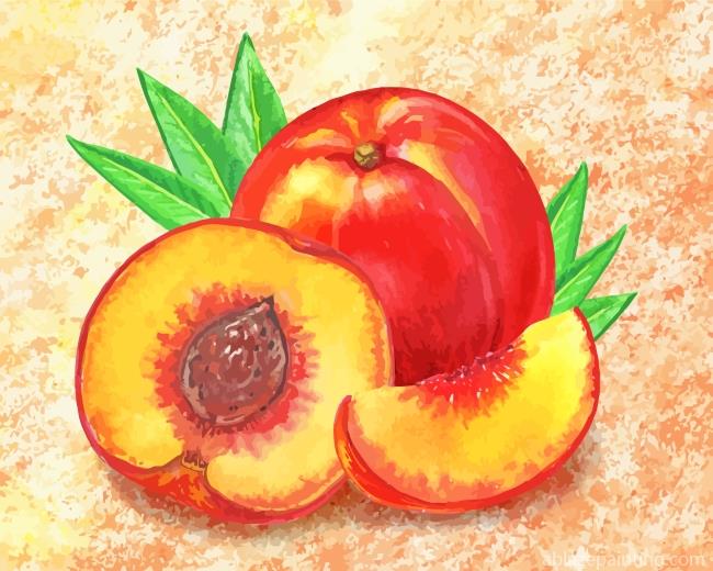 Peach Fruit Art Paint By Numbers.jpg