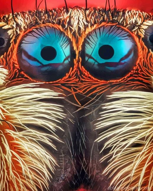 Jumping Spider Eyes Close Up Insects Paint By Numbers.jpg