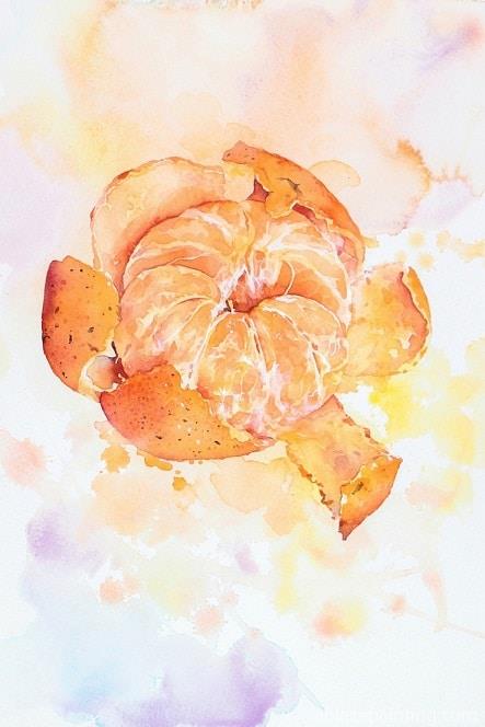 Clementine Still Life Paint By Numbers.jpg