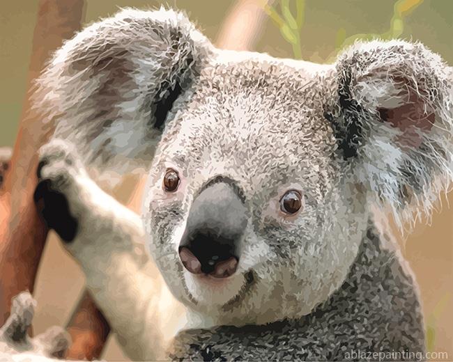 Koala Animals Paint By Numbers.jpg