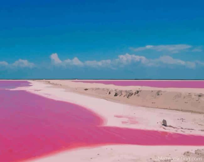 Pink Lake In Mexico New Paint By Numbers.jpg