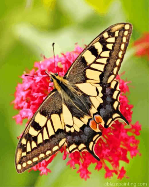 Swallowtail Lepidoptera Butterfly Paint By Numbers.jpg