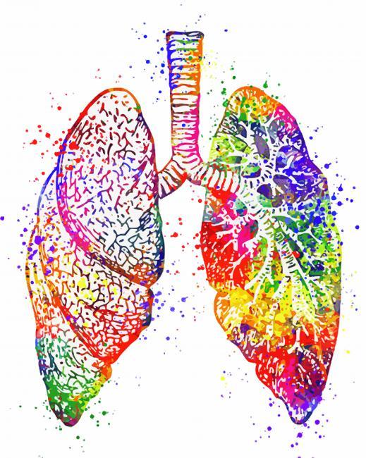 Colorful Lungs Paint By Numbers.jpg