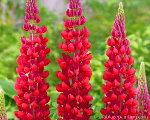 Red Lupine Flowers Paint By Numbers.jpg