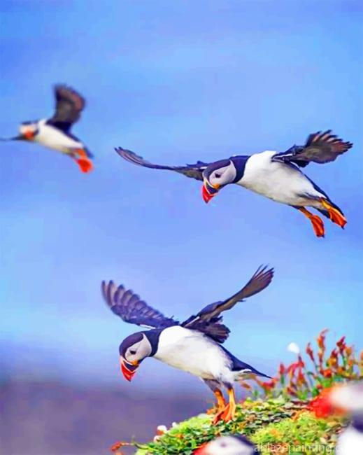 Flying Puffins Birds Paint By Numbers.jpg