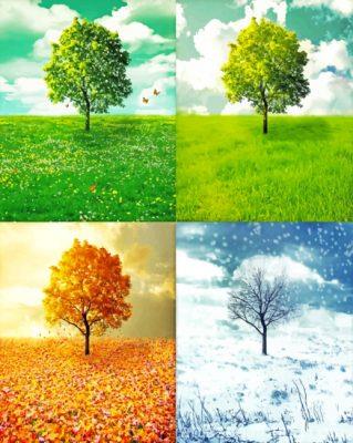 Four Seasons Paint By Numbers.jpg
