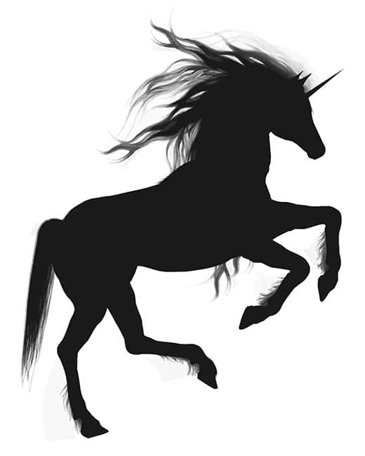 Unicorn Silhouette New Paint By Numbers.jpg