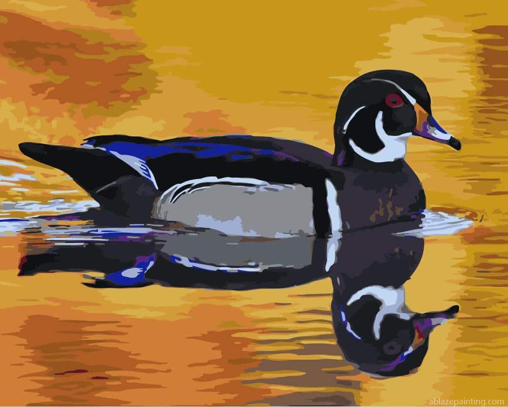 Duck Water Reflection Paint By Numbers.jpg