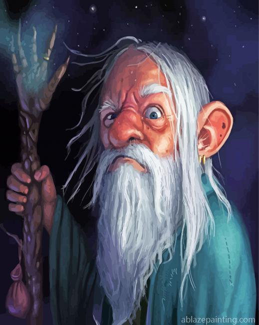 Old Gnome Paint By Numbers.jpg