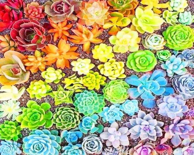 Colorful Succulents New Paint By Numbers.jpg