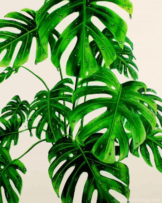 Monstera Green Plant Paint By Numbers.jpg