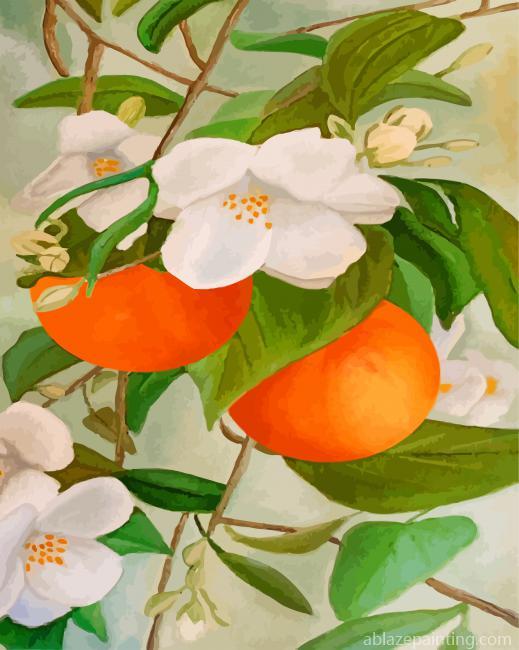 Orange Tree And Blossoms Paint By Numbers.jpg