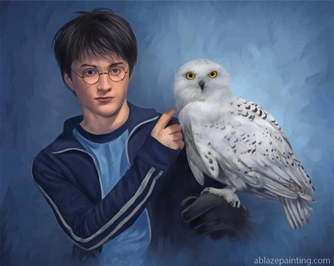 Harry Potter And Companion Hedwig Paint By Numbers.jpg