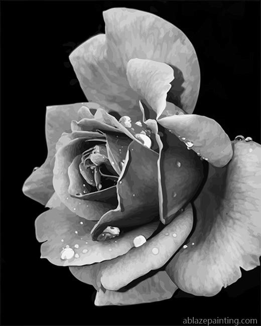 Black And White Rose Singers Paint By Numbers.jpg