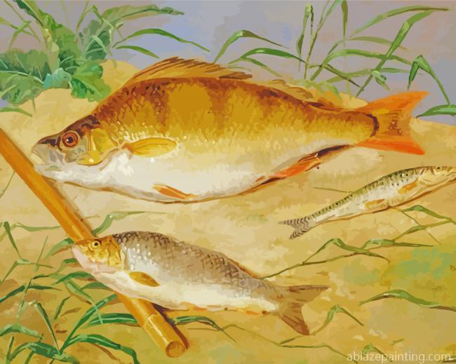 Coarse Fish Paint By Numbers.jpg