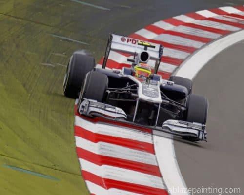 Pastor Maldonado Formula One Paint By Numbers.jpg