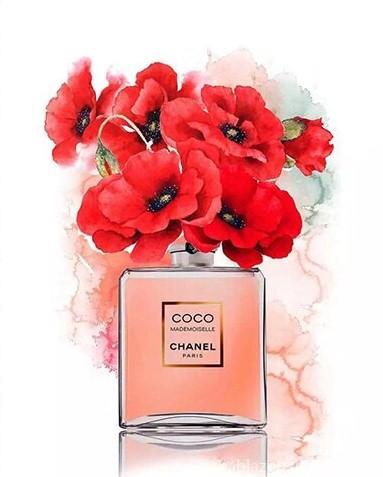 Coco Chanel Poppies Paint By Numbers.jpg