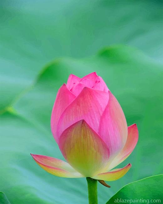 Beautiful Pink Tulip New Paint By Numbers.jpg