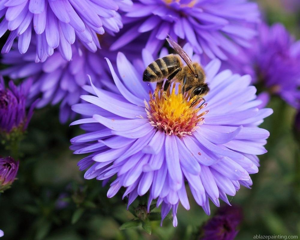 Bee On Flower Paint By Numbers.jpg
