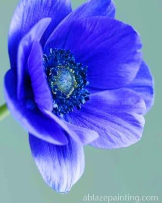 Anemone Flower Paint By Numbers.jpg