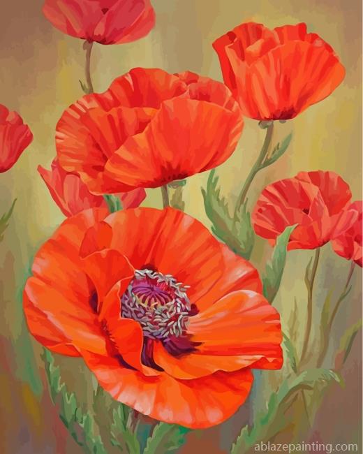Red Poppies Paint By Numbers.jpg