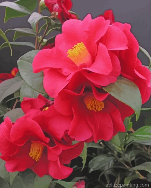 Red Camellia Paint By Numbers.jpg