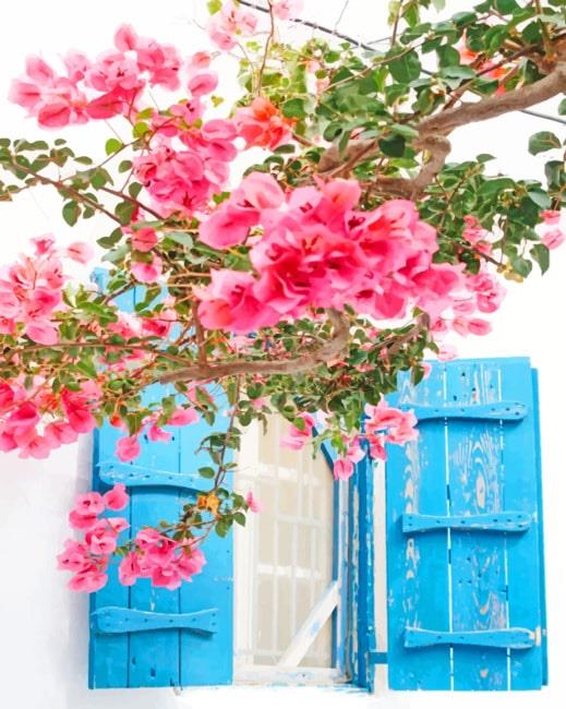 Mykonos Greece Pink Flowers New Paint By Numbers.jpg