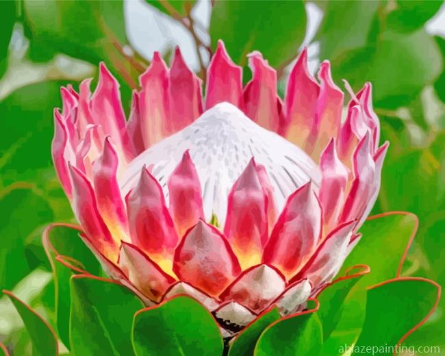 Aesthetic Pink Protea Plant Paint By Numbers.jpg