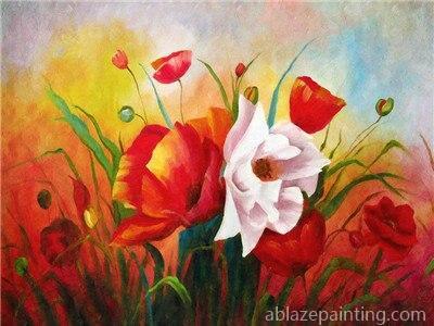 Poppies In Garden Paint By Numbers.jpg