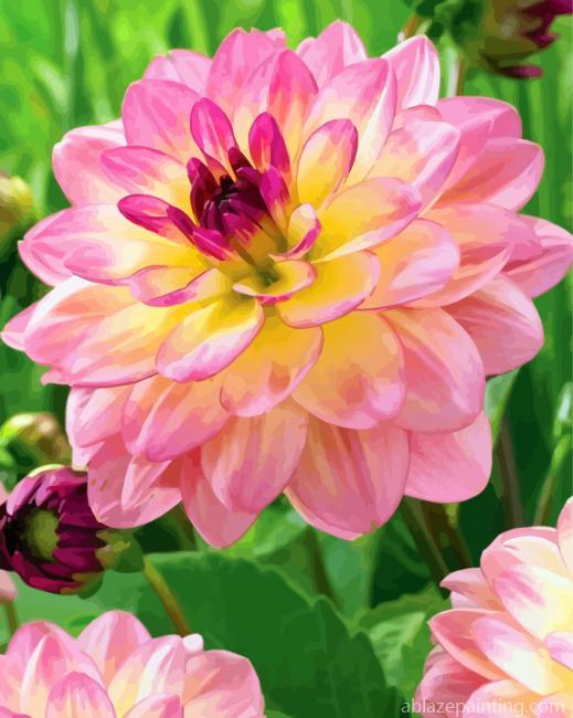 Pink Yellow Dahlia Flower Paint By Numbers.jpg