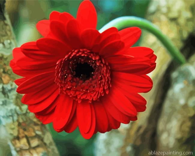 Red Berber Daisy Paint By Numbers.jpg