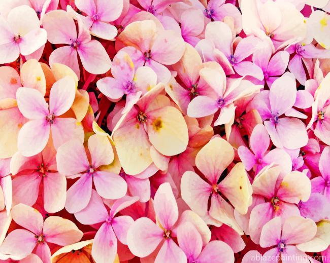 Hydrangea Pink Flowers Paint By Numbers.jpg