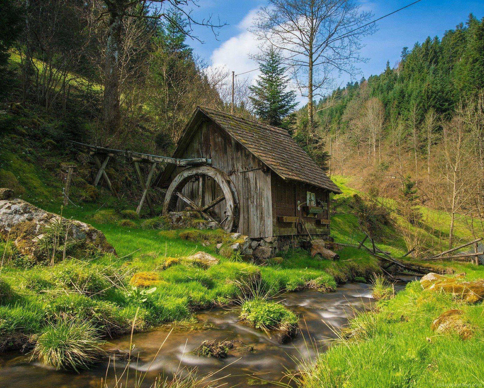 Old Mill In Forest Paint By Numbers.jpg