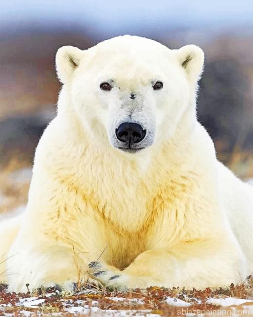 Polar Bear Paint By Numbers.jpg
