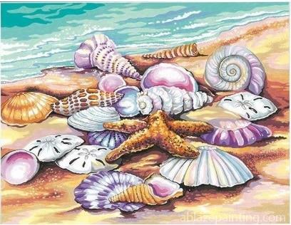 Seashells On The Beach Landscape Paint By Numbers.jpg