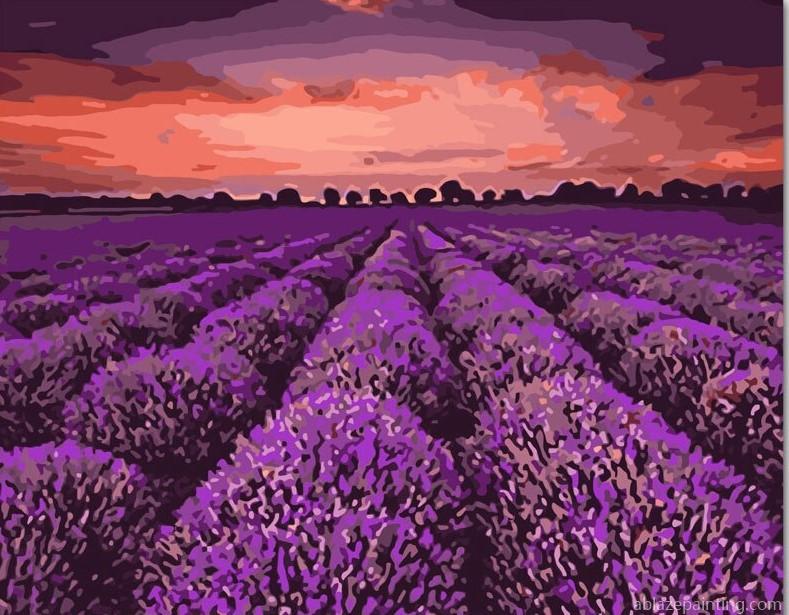 Purple Lavender Field Paint By Numbers.jpg