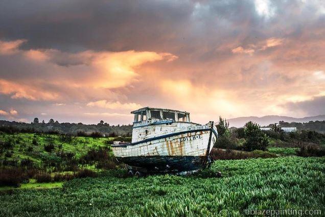 Abandoned Boat In A Field Paint By Numbers.jpg