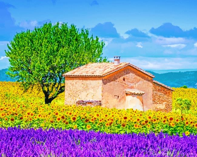 Provence France Landscapes Paint By Numbers.jpg