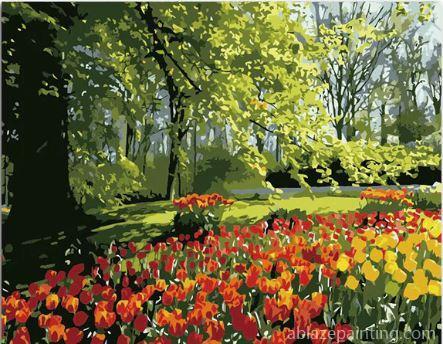 Tulips Spring In Garden Landscape Paint By Numbers.jpg
