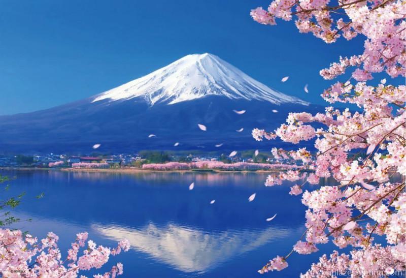 Cherry Blossoms Under Mount Fuji Landscape Paint By Numbers.jpg