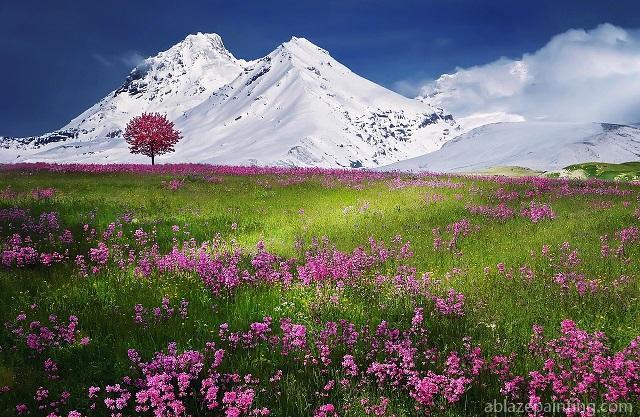 Beautiful Scenery Of Mountains Landscape Paint By Numbers.jpg