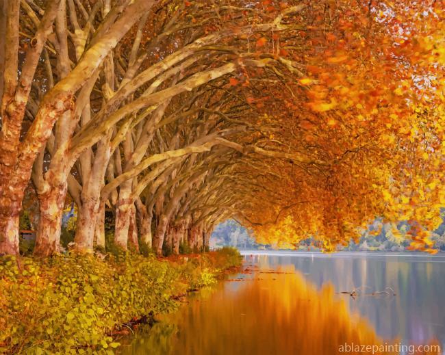 Autumn Trees Near Lake New Paint By Numbers.jpg