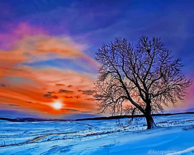 Winter Beautiful Sunset New Paint By Numbers.jpg