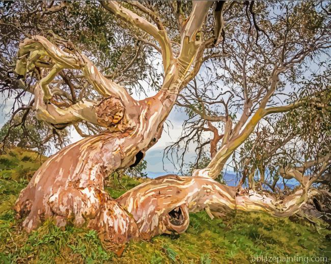 Aesthetic Snow Gums Paint By Numbers.jpg