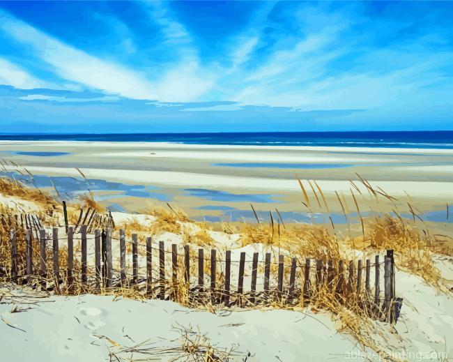 Cape Cod Beach Paint By Numbers.jpg