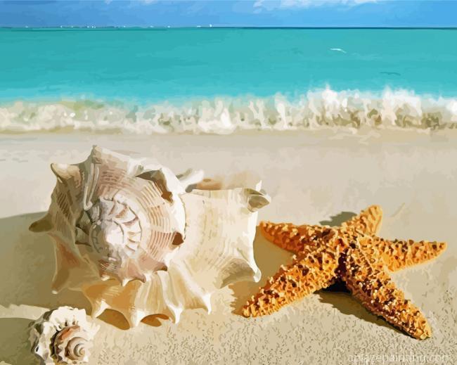 Beach Shells And Starfish Paint By Numbers.jpg