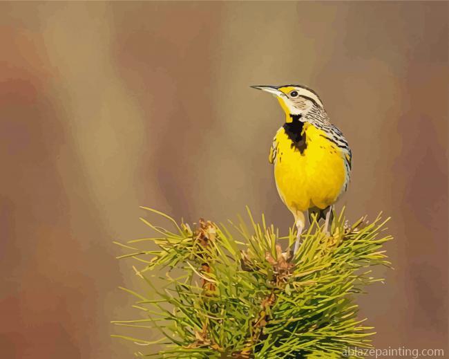 Western Meadowlark Bird Paint By Numbers.jpg