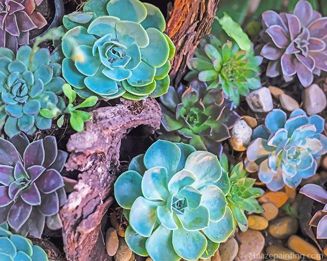 Succulents Plants New Paint By Numbers.jpg