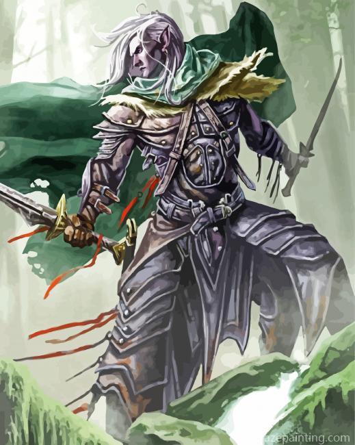 Drizzt Do'urden Character Paint By Numbers.jpg